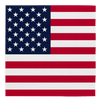 Amerika USA Servietten