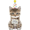 XL Katze cue the Catfetti! Ballon (mit Helium gefüllt)